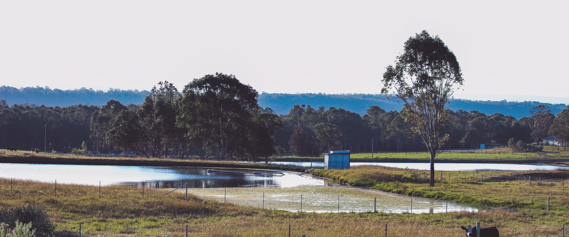 Tasmanian landscape with waterway